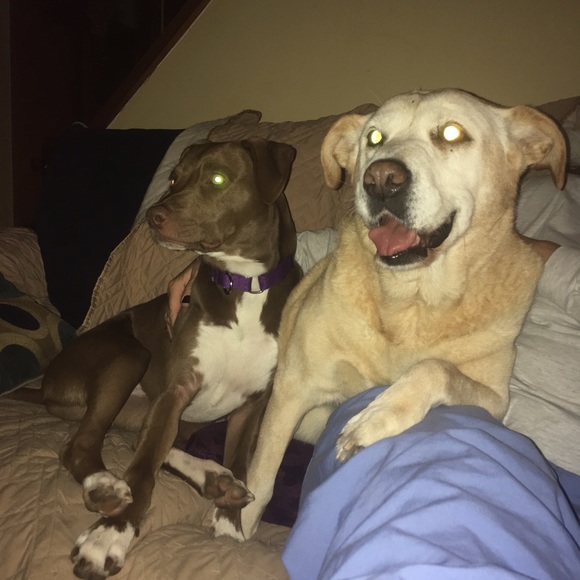 Meet your Posher, Meghan - Picture 1 of 1